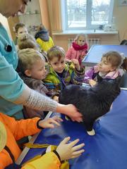 пешеходная экскурсия в Толочинскую районную ветеринарную станцию