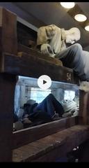 Виртуальная экскурсия по передвижному музею «ПОЕЗД ПОБЕДЫ»