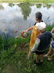 Пешеходная экскурсия на водоём и  праздник Ивана Купалы