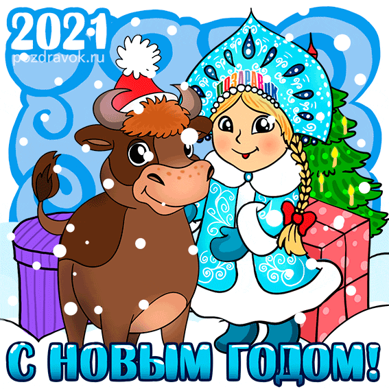 Новости Новости