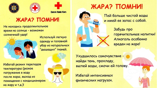 Новости Новости