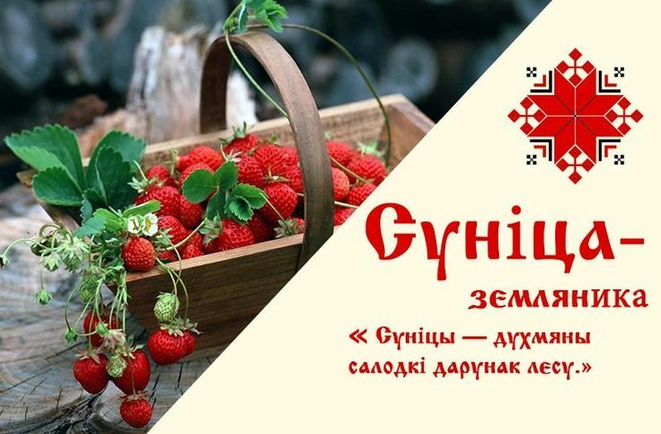 Вучым словы Вучым словы