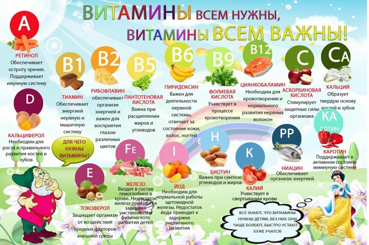 Азбука здорового питания Азбука здорового питания