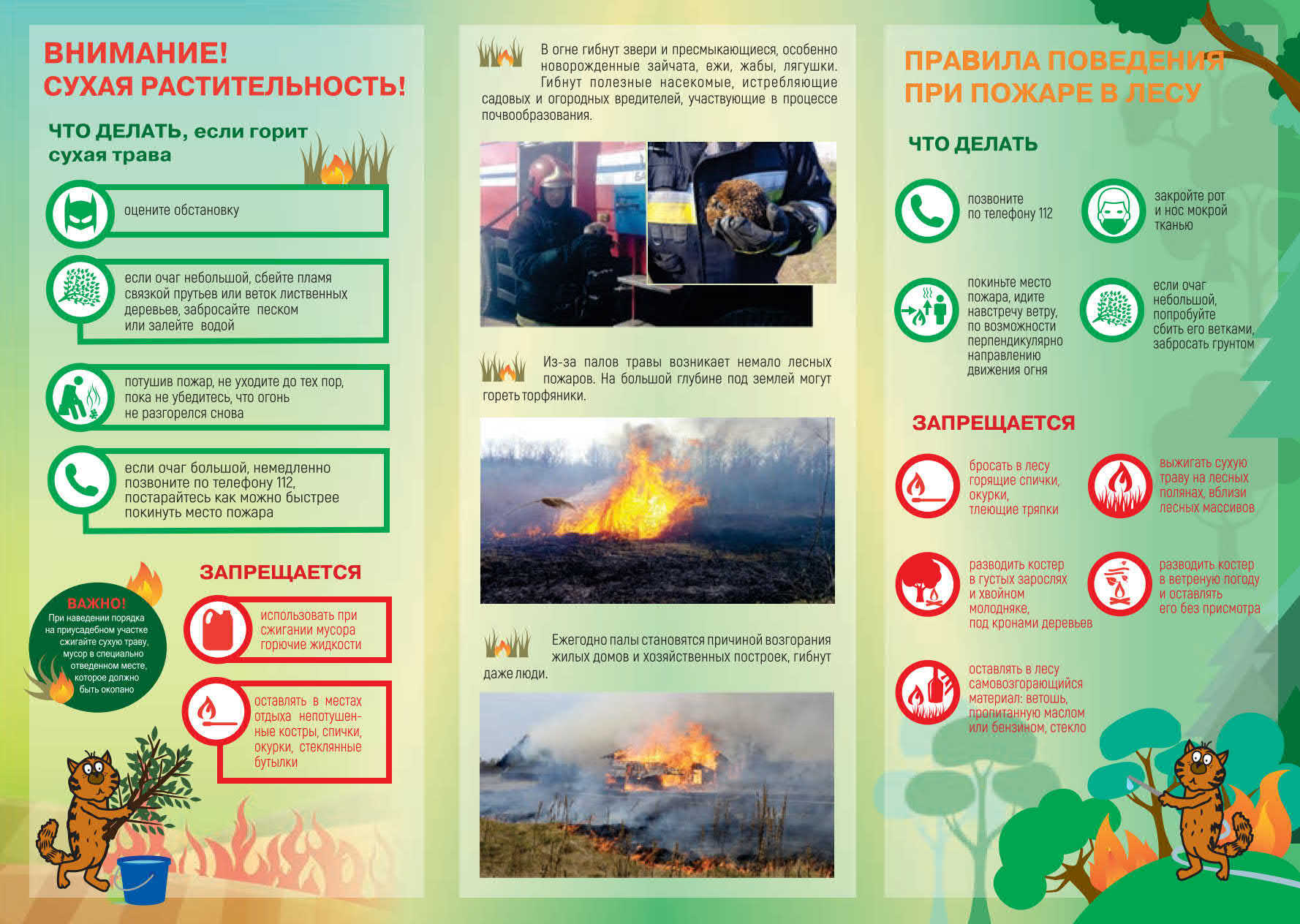 В рамках акции " За безопасность вместе"